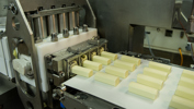 Aleksandrov X Ray Dairy Curd Snack Production Line 1 PR
