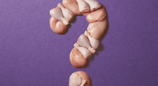 WEBSITE BANNER Blog 13