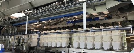 Micarna 2019, The Two 12 Head Linear Weighers Work Like Four Individual Machines I (MR)