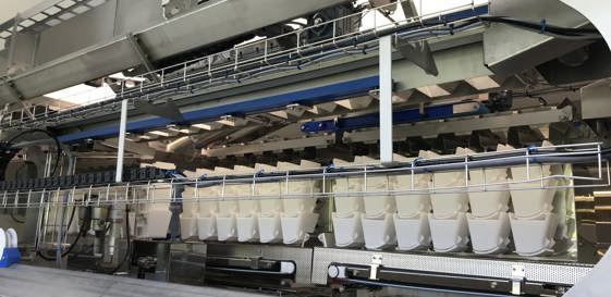 Micarna 2019, The Two 12 Head Linear Weighers Work Like Four Individual Machines I (MR)