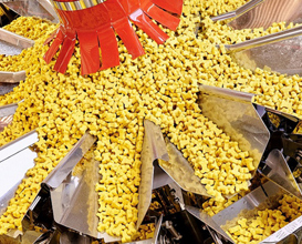 Ishida Multihead Weighers for Pet Food