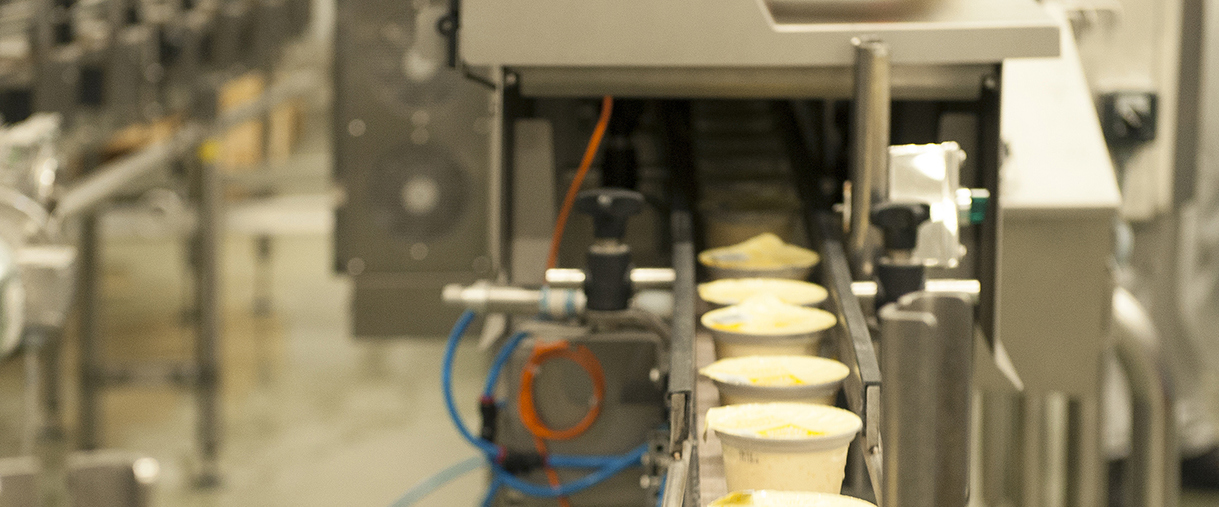 X-ray Inspection System for Dairy Products