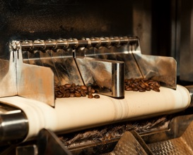 Poprad Dirga 30 Coffee Beans At Outfeed (PR Shot)