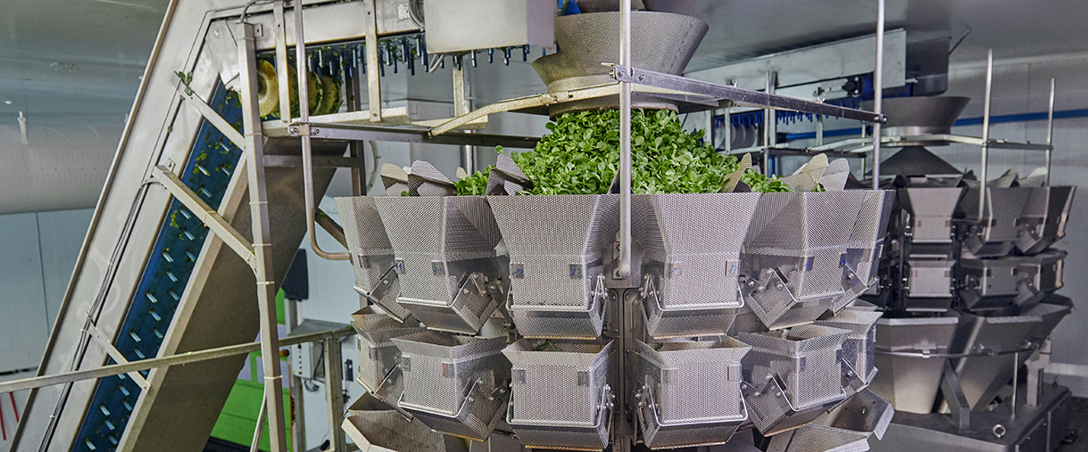 Salad Weighing Solution by Ishida