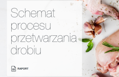 White Paper Poland Carousel (1)