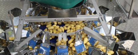 Patatas Melendez Feed System And CCW (PR Shot)