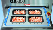 QX 300 SHRIMPS RT