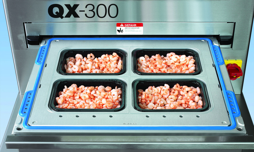 QX 300 SHRIMPS RT