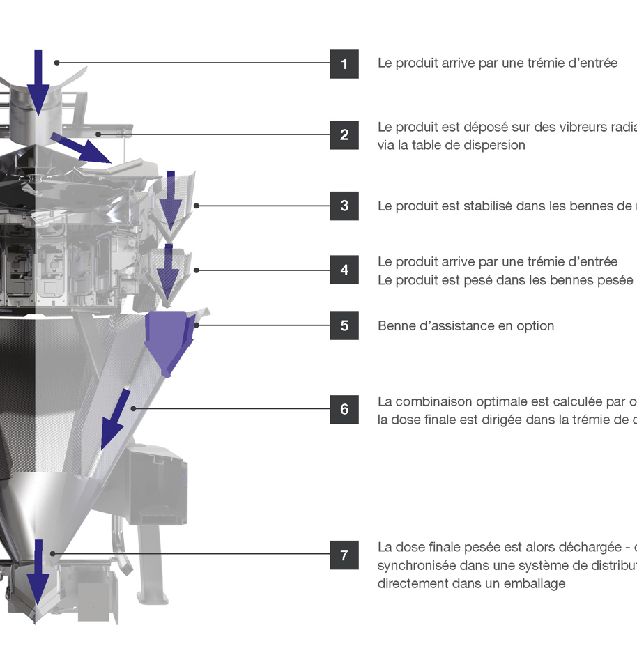 CCW DIAGRAM FRENCH
