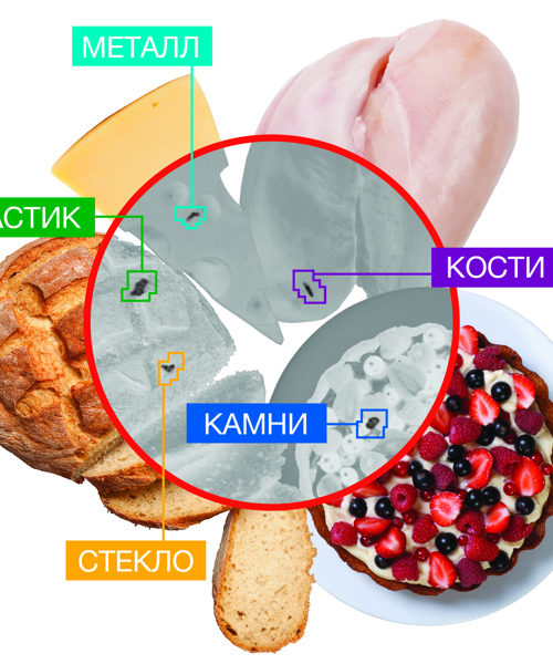 X RAY MONTAGE (RUS)1