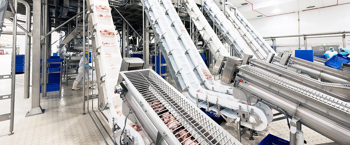 Ishida Integrated Line Solution for Poultry