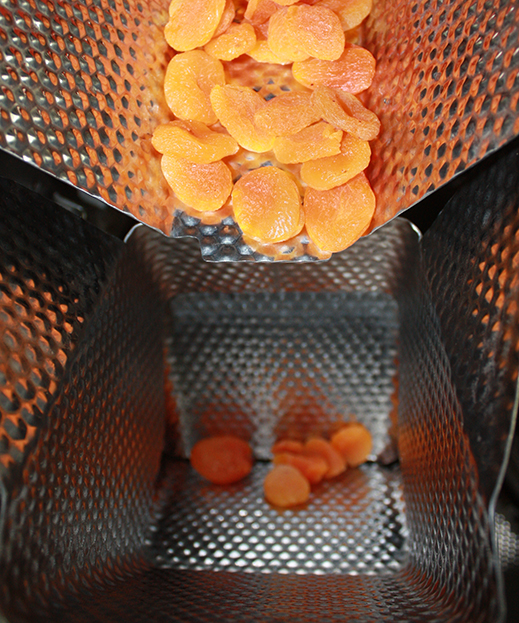 ISH 260826B Gulfood Landing Page Challenge 4 519X623Px