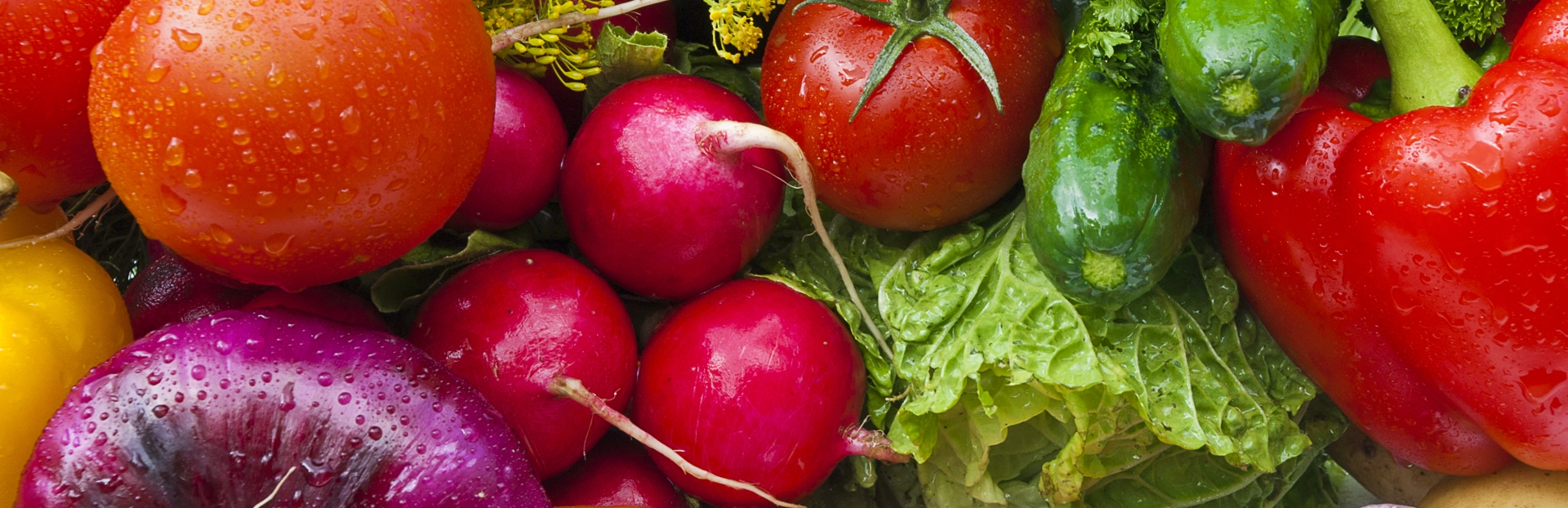 Veg main image