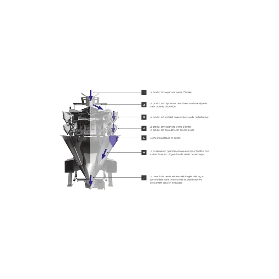 Ccw Diagram French 1
