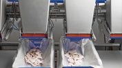 Flex Grader FLEX Bins