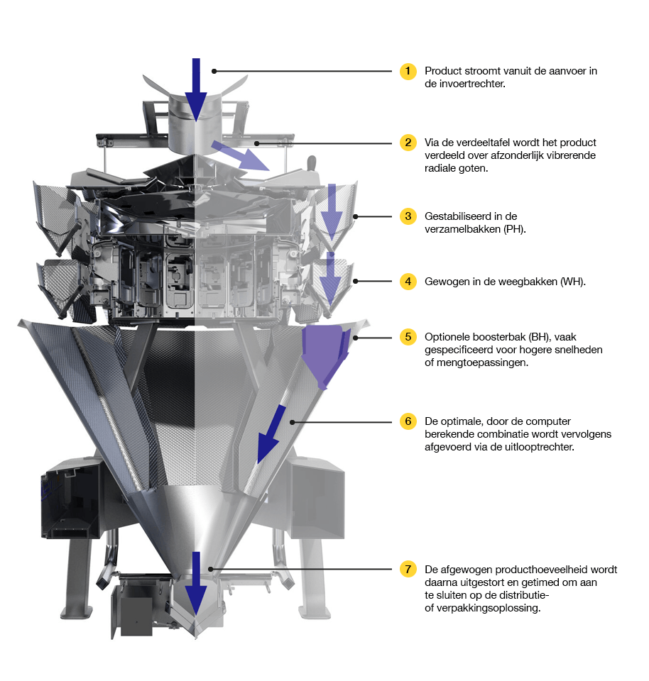 CCW Cutaway EDIT ARROWS V4 Netherlands Opt