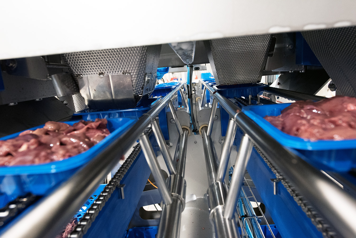 Almarai Filled Tray Outfeed (Liver) DSC 1271