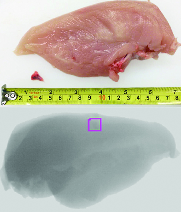 Ishida IX G2 Chicken (Fan Bone)