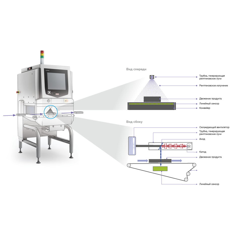 X RAY DIAGRAM 2