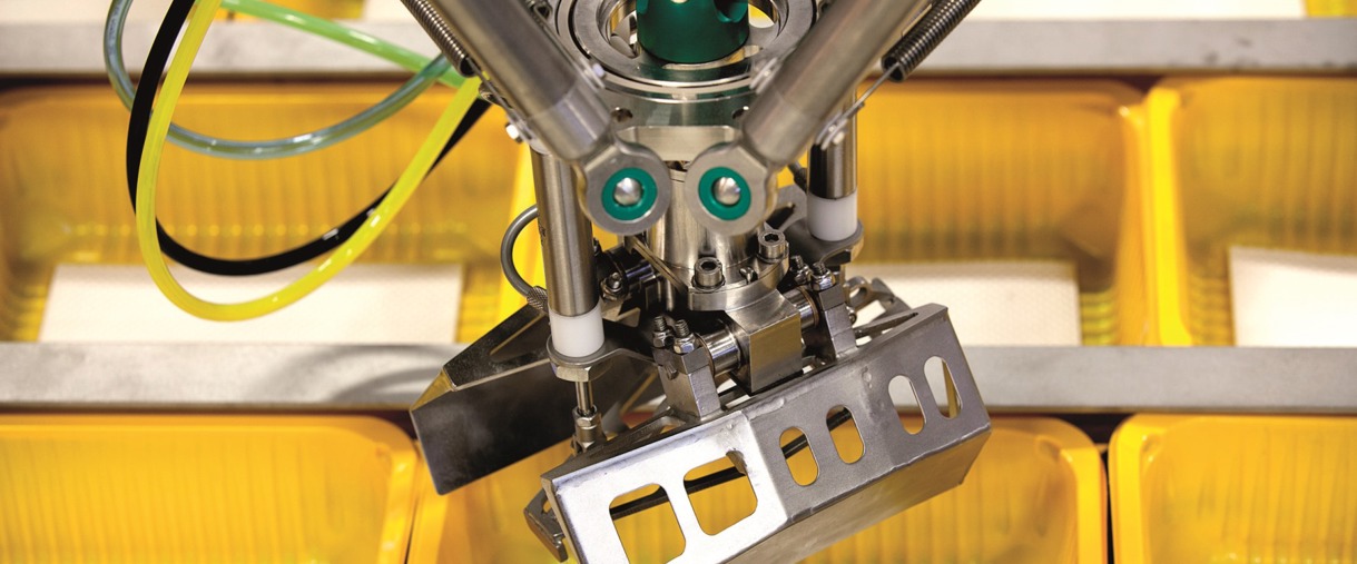 RobotGrader Grading Machine | Ishida