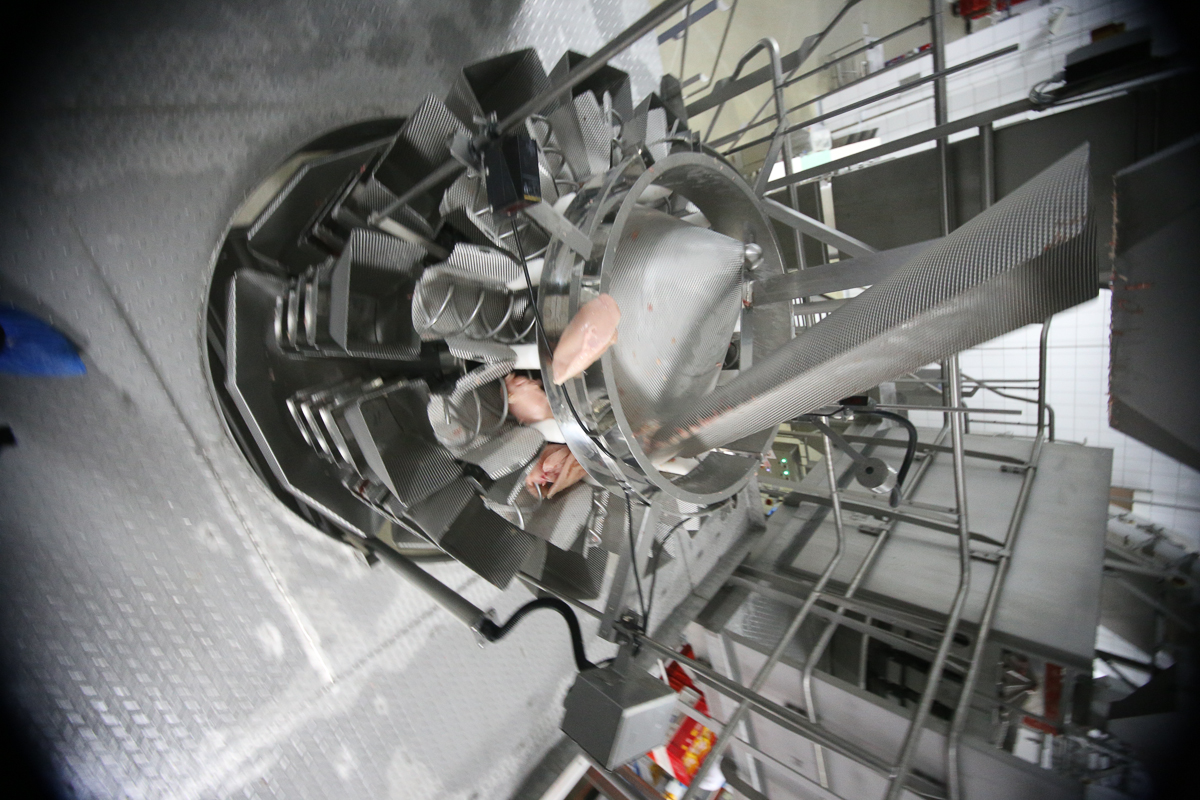 IMG 9669