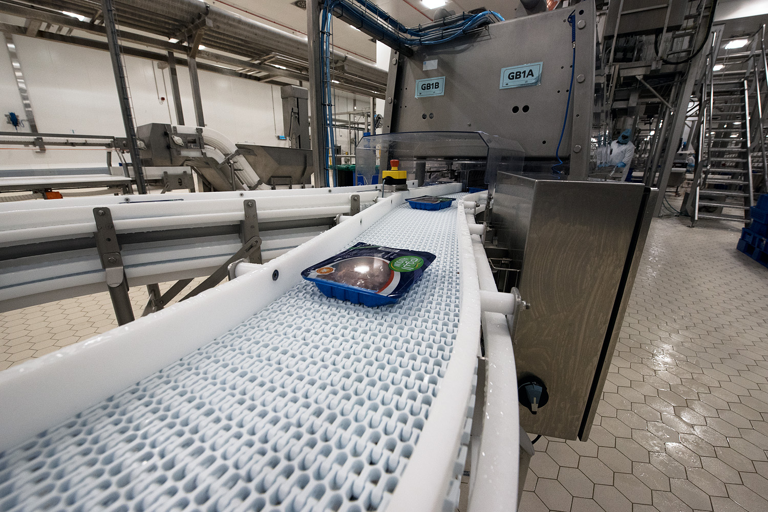 Almarai Sealed Tray Outfeed (Liver) DSC 1289