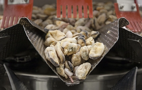 Cabomar Congelas Seafood Weighing